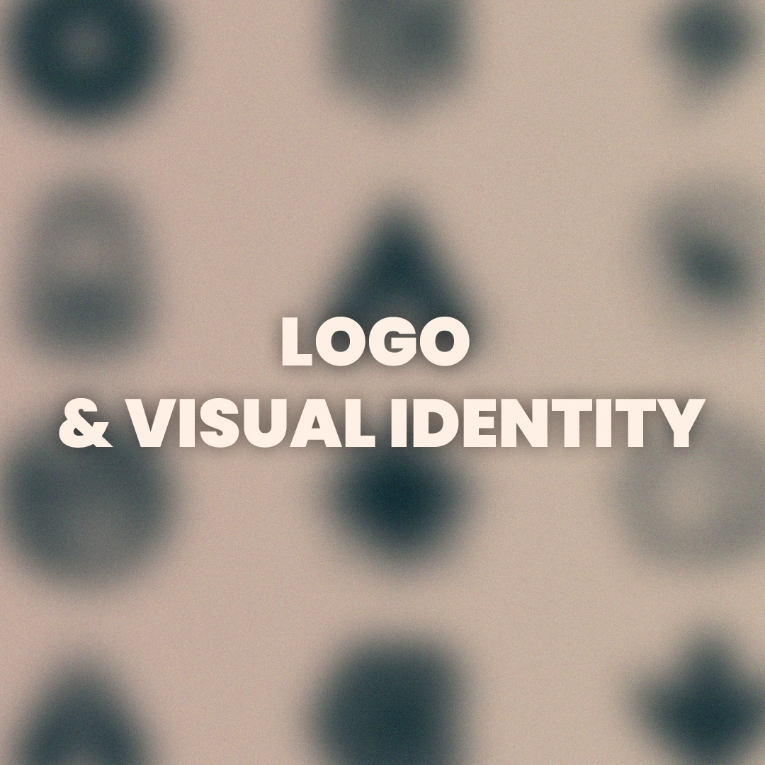 Logo Visual Identity